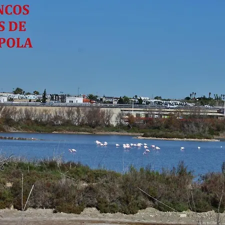 Estudio Marina De Apartment Santa Pola